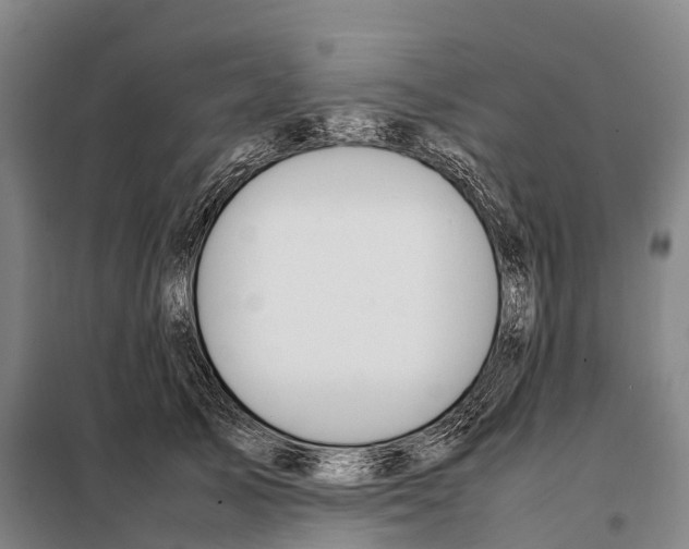 X0000098020705200804251137