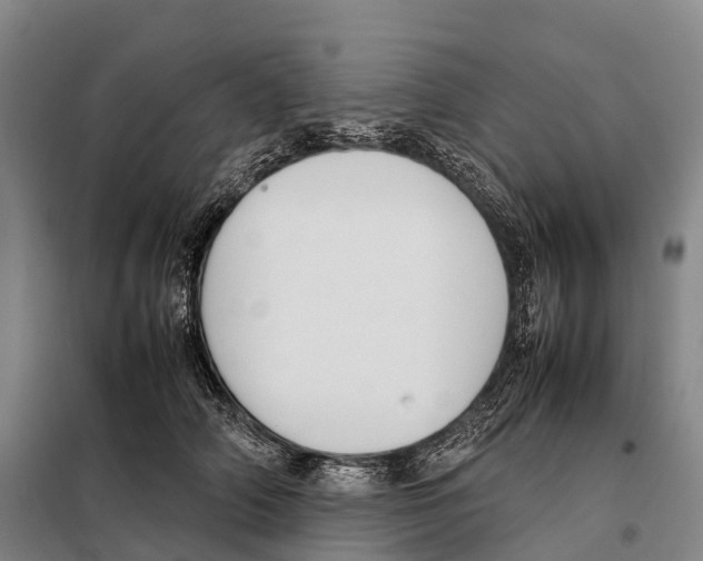 X0000098020706200804251137