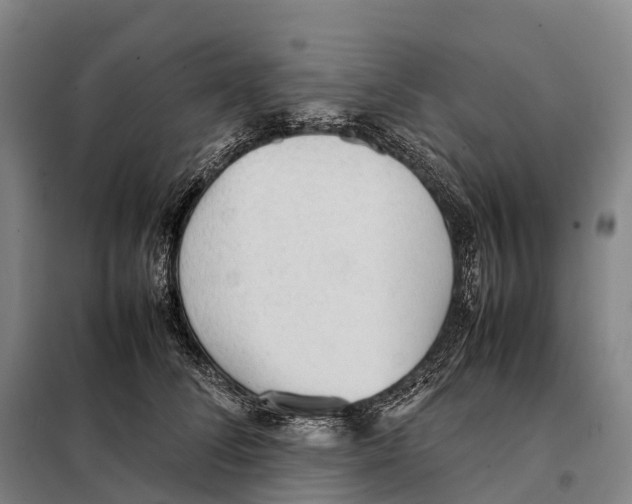 X0000098020708200804251137