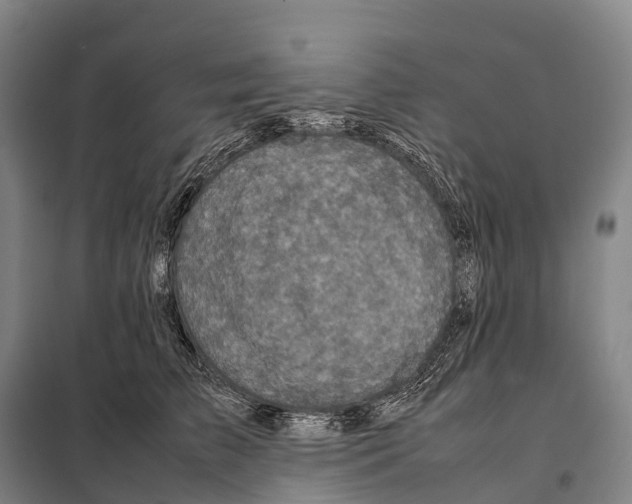 X0000098020709200804251137