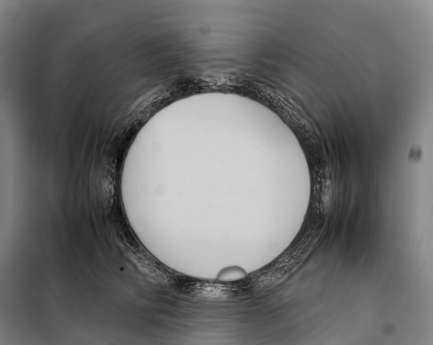 X0000098020710200804251137