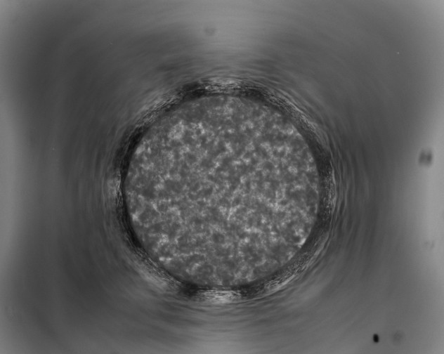 X0000098020711200804251137