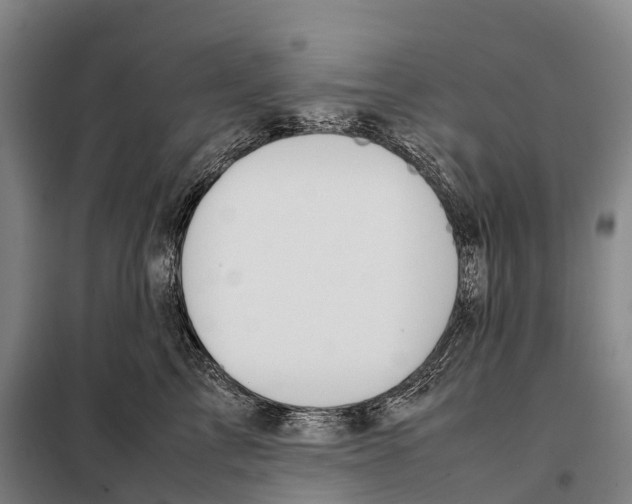 X0000098020713200804251137