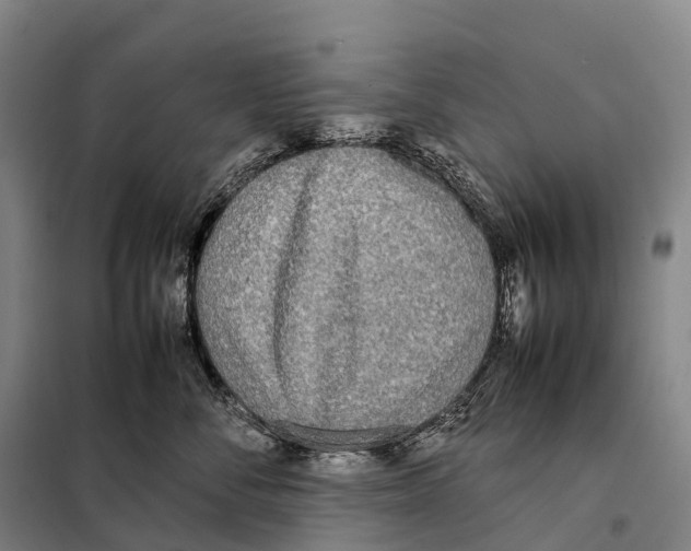X0000098020716200804251137