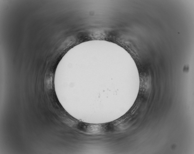 X0000098020717200804251137