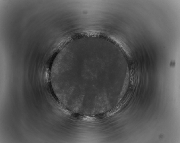 X0000098020718200804251137
