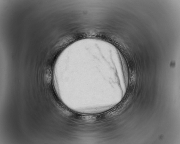 X0000098020719200804251137