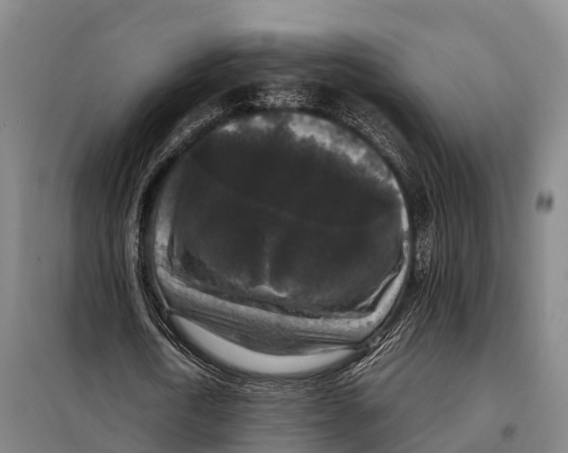 X0000098020722200804251136