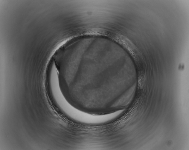 X0000098020724200804251136