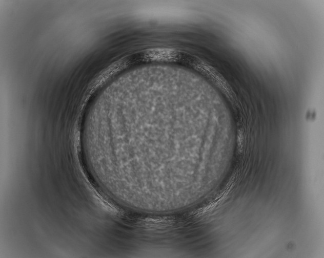 X0000098020725200804251136