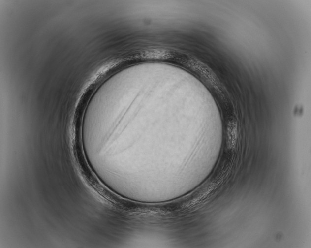 X0000098020726200804251136