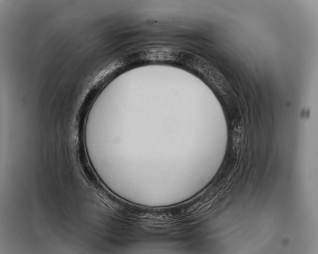 X0000098020727200804251136