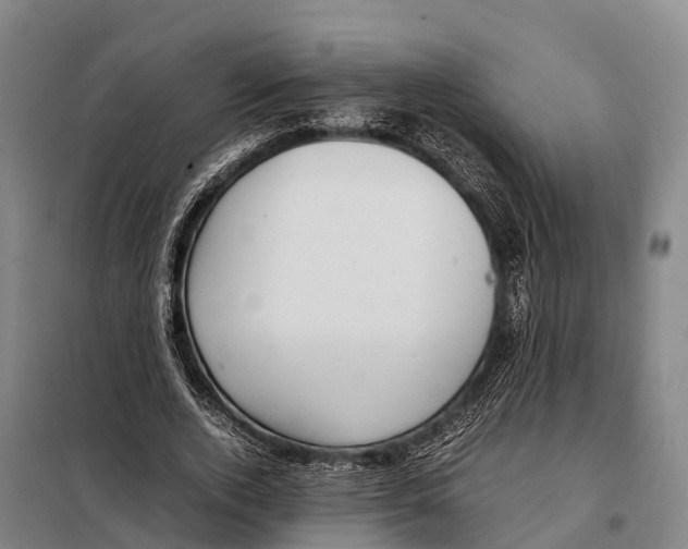 X0000098020728200804251137