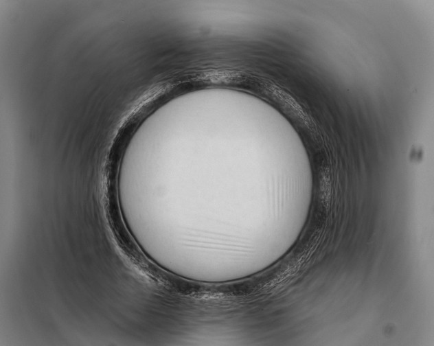 X0000098020730200804251137