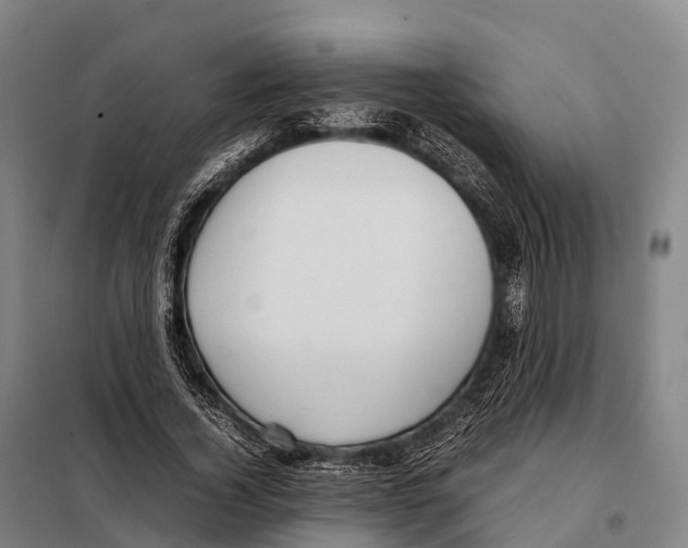 X0000098020732200804251137