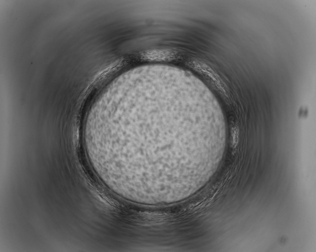 X0000098020733200804251137