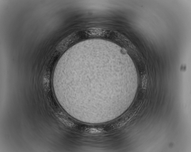X0000098020737200804251137