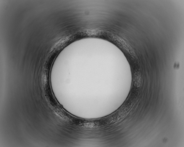 X0000098020740200804251137