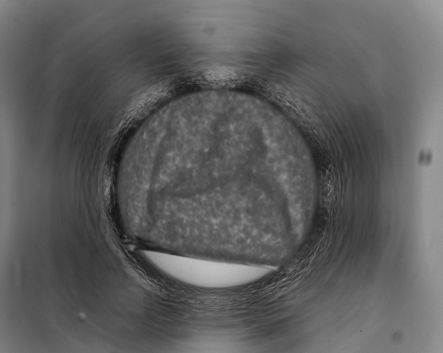 X0000098020742200804251137