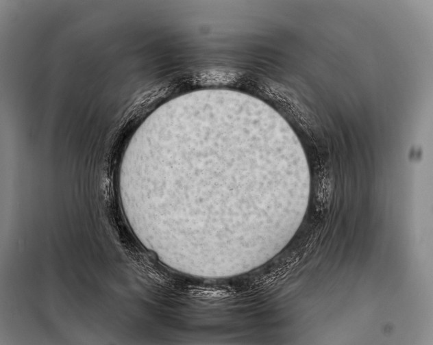 X0000098020743200804251137