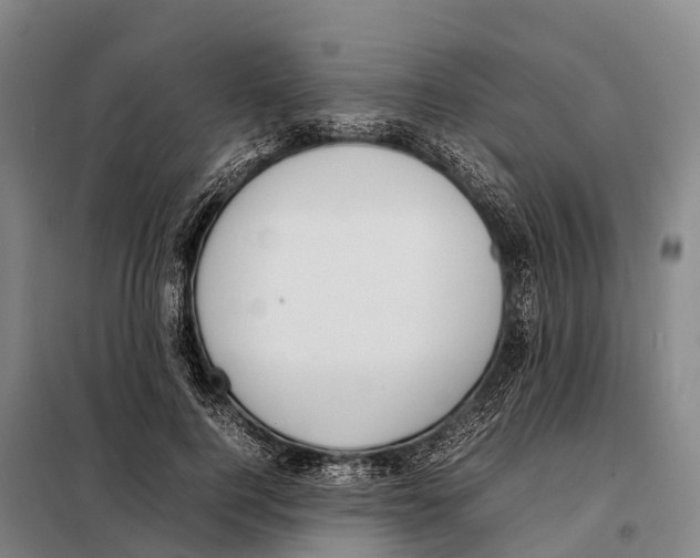 X0000098020744200804251137