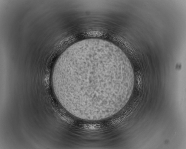X0000098020745200804251137