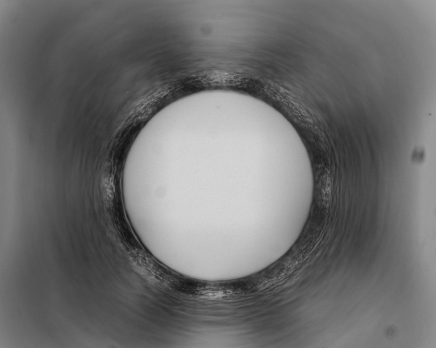 X0000098020746200804251137