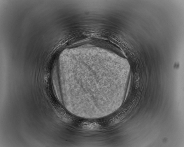 X0000098020747200804251137