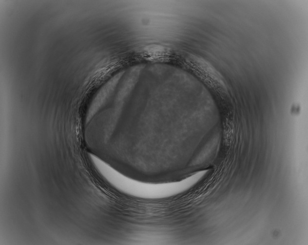 X0000098020748200804251137