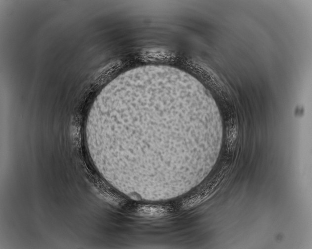 X0000098020749200804251137