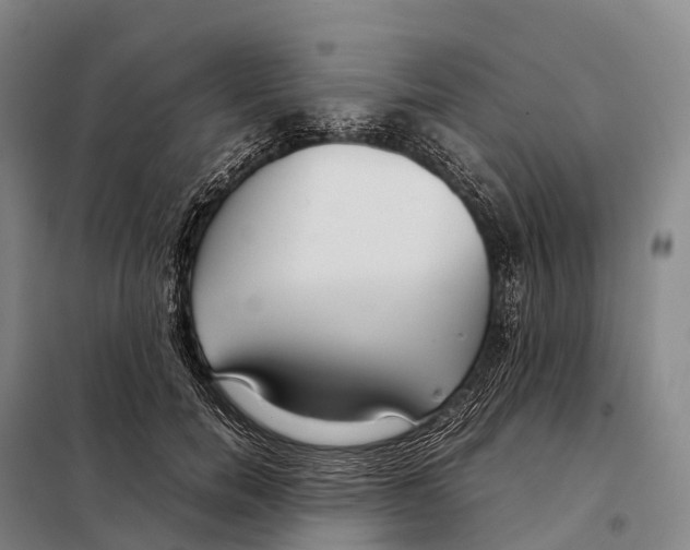 X0000098020750200804251137