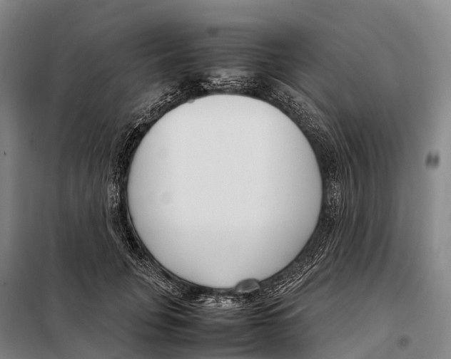 X0000098020751200804251137