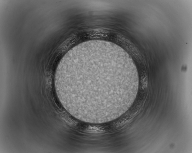 X0000098020753200804251137