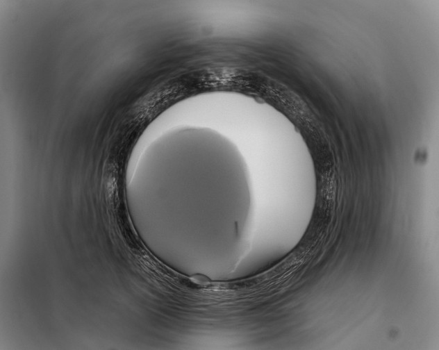 X0000098020754200804251137