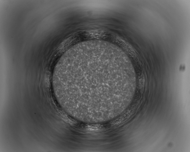 X0000098020757200804251137