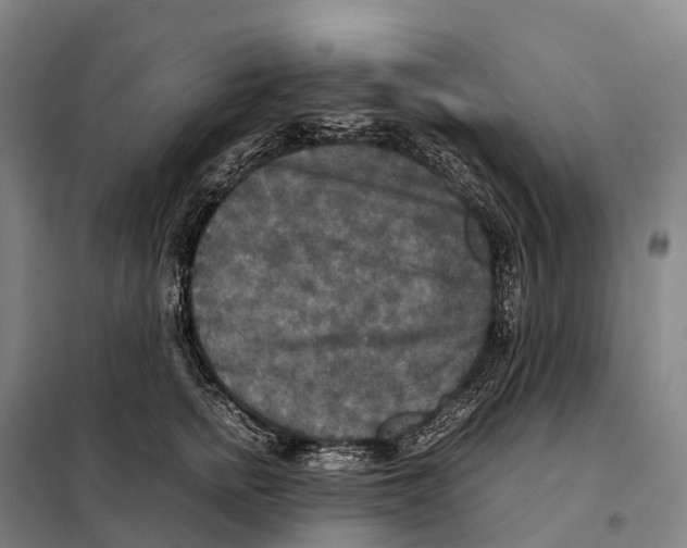 X0000098020758200804251137
