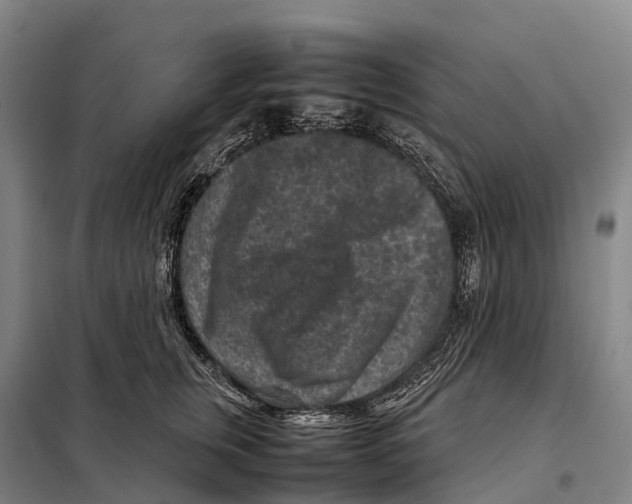 X0000098020759200804251137