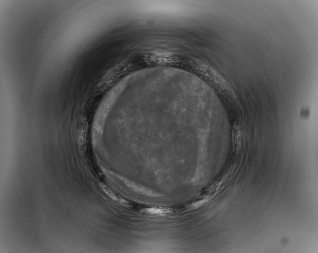 X0000098020760200804251137
