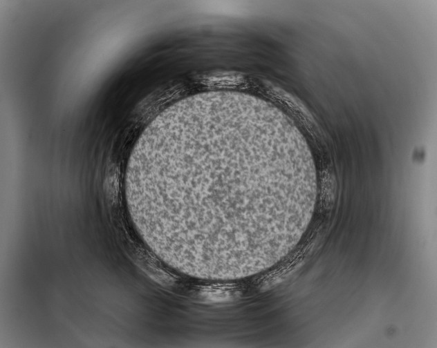 X0000098020761200804251137