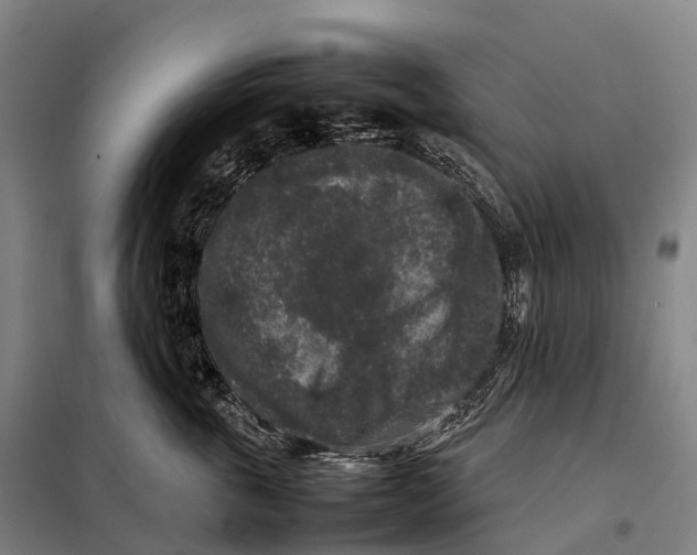 X0000098020763200804251137