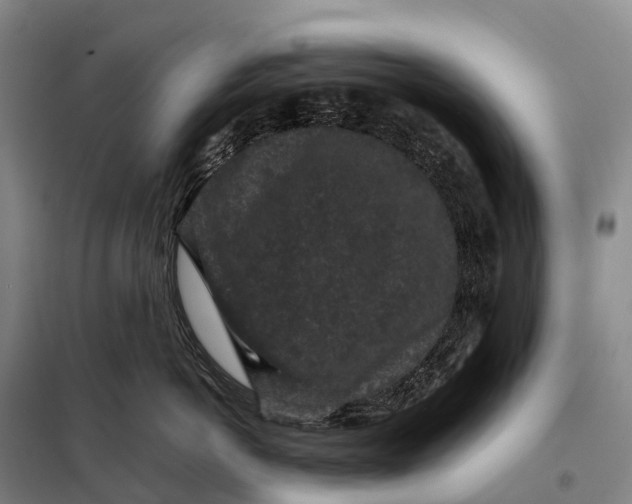 X0000098020766200804251137
