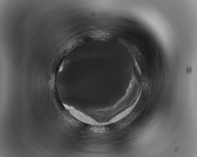 X0000098020767200804251137