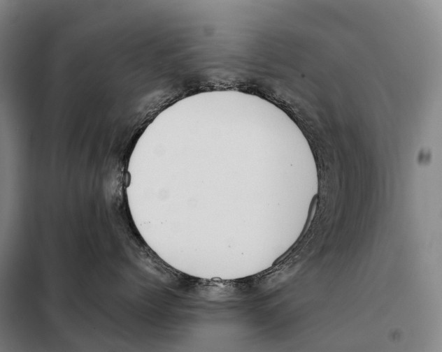 X0000098020768200804251137