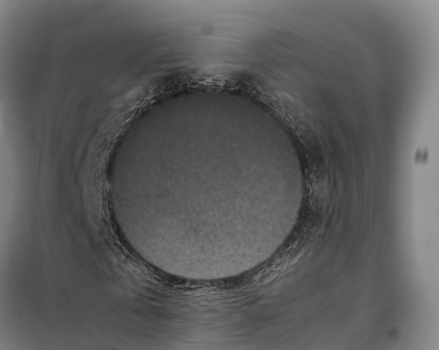 X0000098020769200804251136