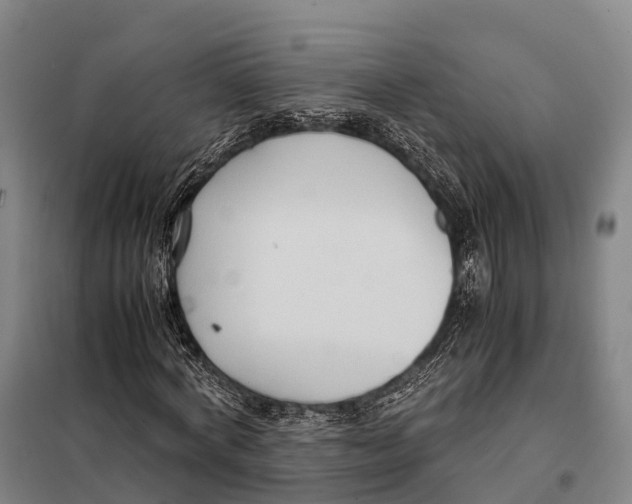 X0000098020772200804251136