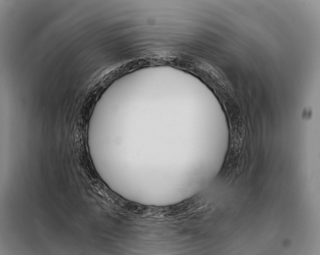X0000098020773200804251136
