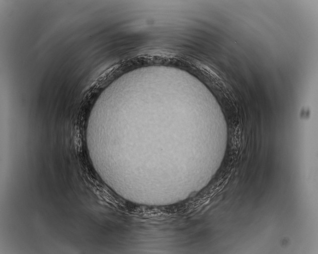 X0000098020774200804251136