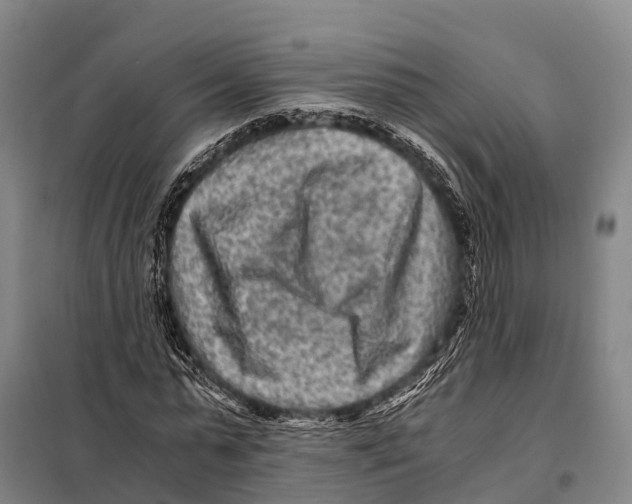 X0000098020775200804251136