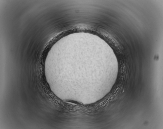 X0000098020776200804251136
