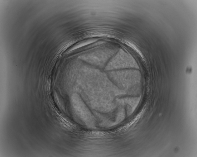 X0000098020777200804251136
